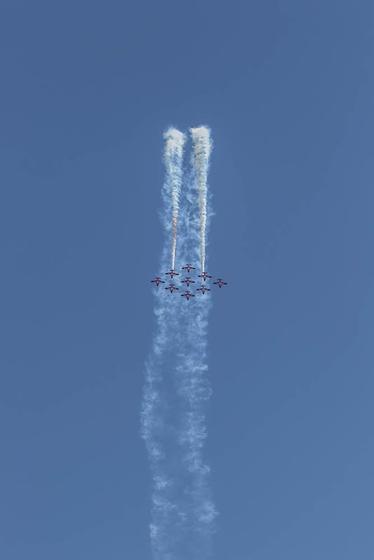 Snowbirds by Stino Scaletta